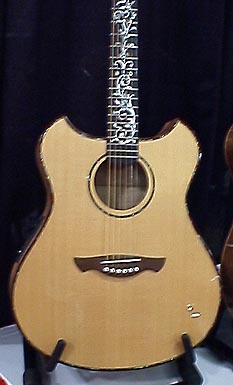 Wechter guitar