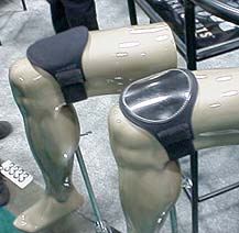 kneepads.jpg (22084 bytes)